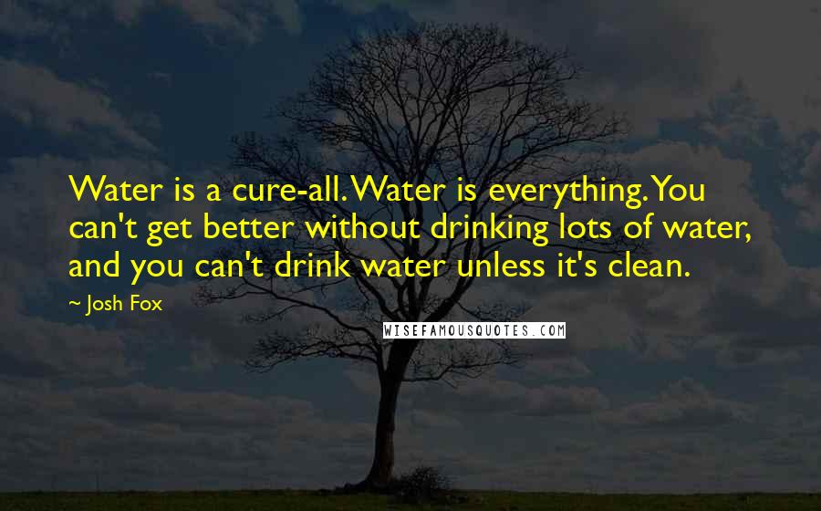 Josh Fox Quotes: Water is a cure-all. Water is everything. You can't get better without drinking lots of water, and you can't drink water unless it's clean.