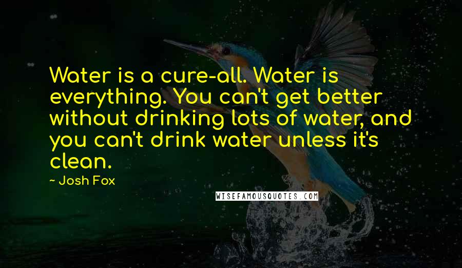 Josh Fox Quotes: Water is a cure-all. Water is everything. You can't get better without drinking lots of water, and you can't drink water unless it's clean.