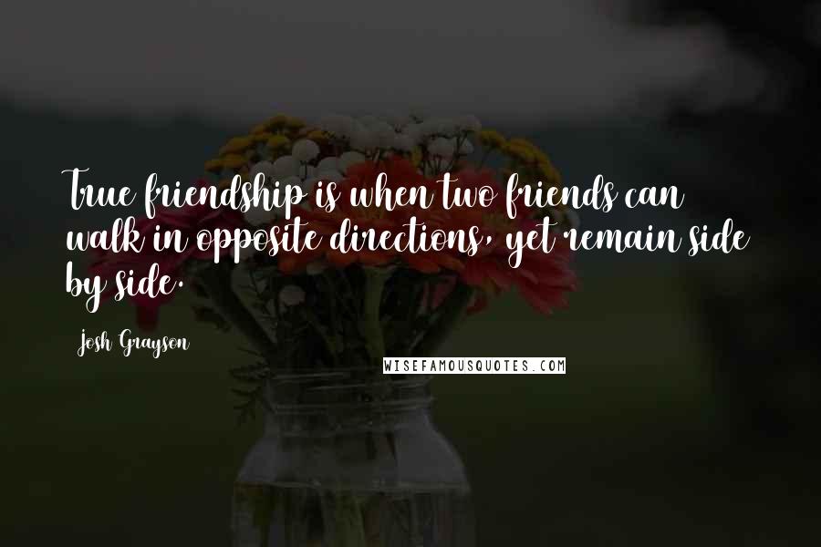 Josh Grayson Quotes: True friendship is when two friends can walk in opposite directions, yet remain side by side.