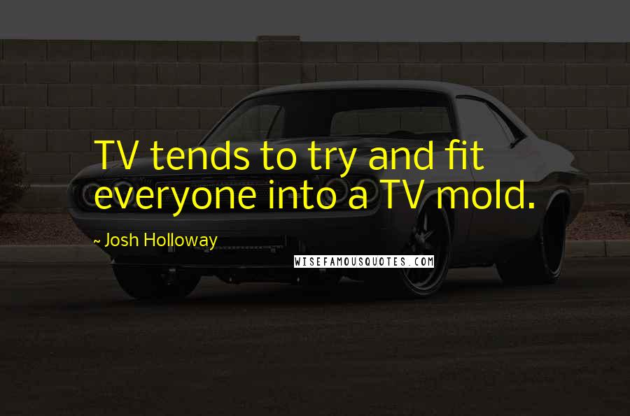 Josh Holloway Quotes: TV tends to try and fit everyone into a TV mold.