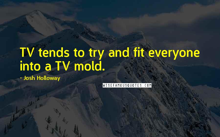 Josh Holloway Quotes: TV tends to try and fit everyone into a TV mold.
