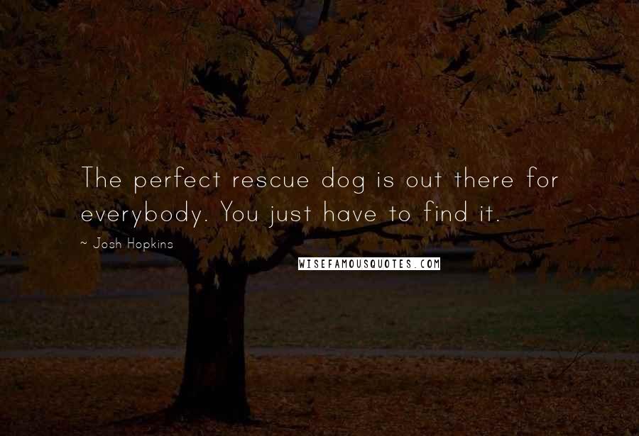 Josh Hopkins Quotes: The perfect rescue dog is out there for everybody. You just have to find it.