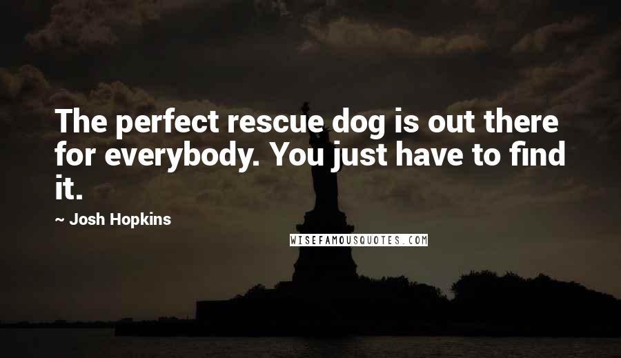 Josh Hopkins Quotes: The perfect rescue dog is out there for everybody. You just have to find it.
