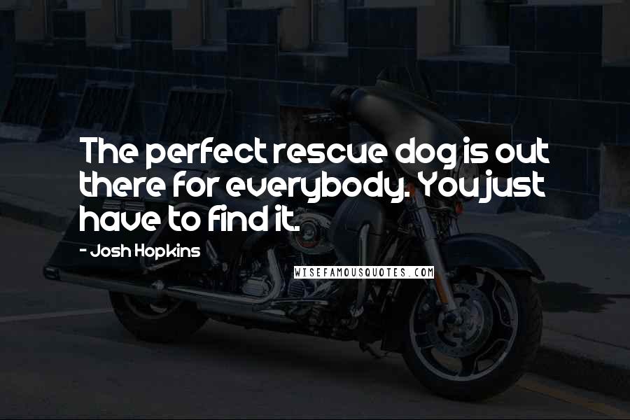 Josh Hopkins Quotes: The perfect rescue dog is out there for everybody. You just have to find it.