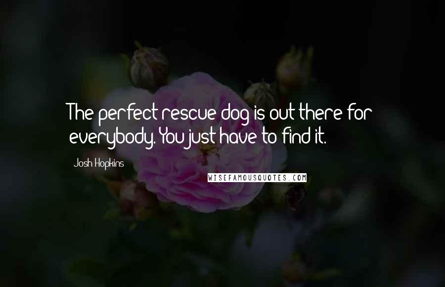 Josh Hopkins Quotes: The perfect rescue dog is out there for everybody. You just have to find it.