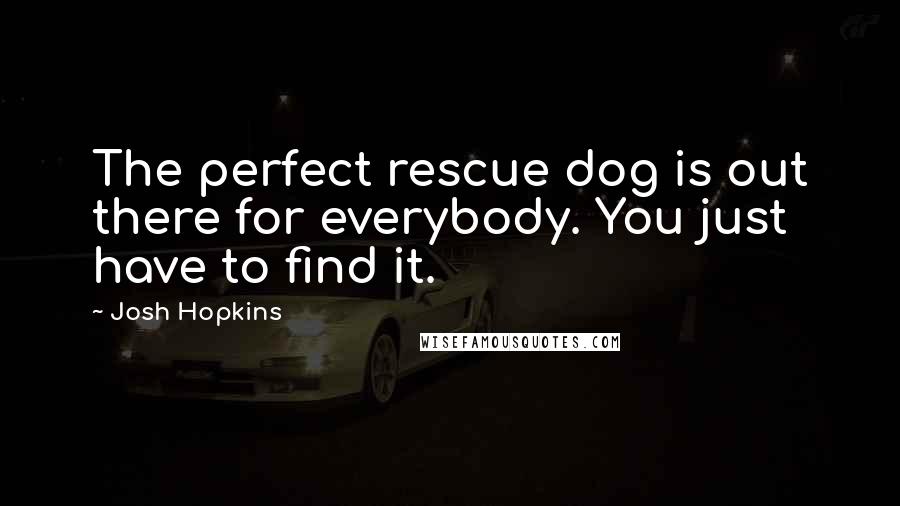 Josh Hopkins Quotes: The perfect rescue dog is out there for everybody. You just have to find it.