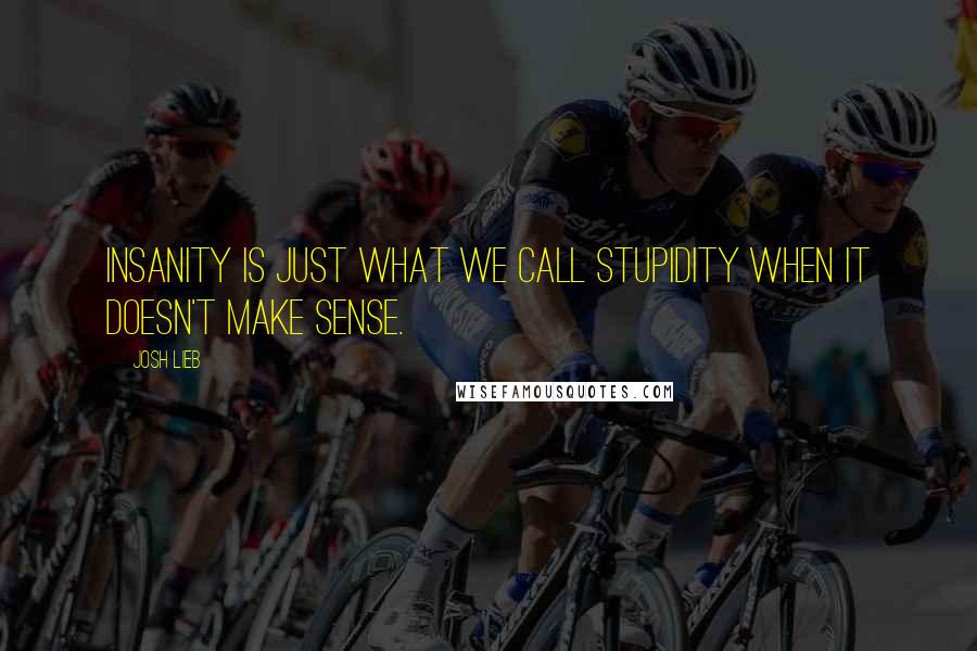 Josh Lieb Quotes: Insanity is just what we call stupidity when it doesn't make sense.