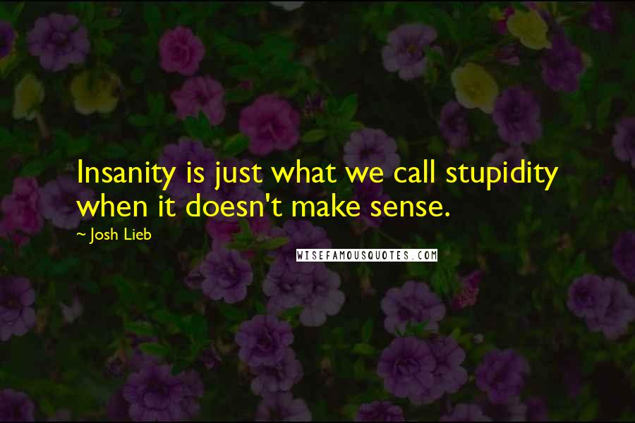 Josh Lieb Quotes: Insanity is just what we call stupidity when it doesn't make sense.