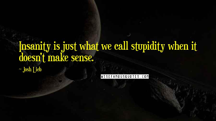 Josh Lieb Quotes: Insanity is just what we call stupidity when it doesn't make sense.