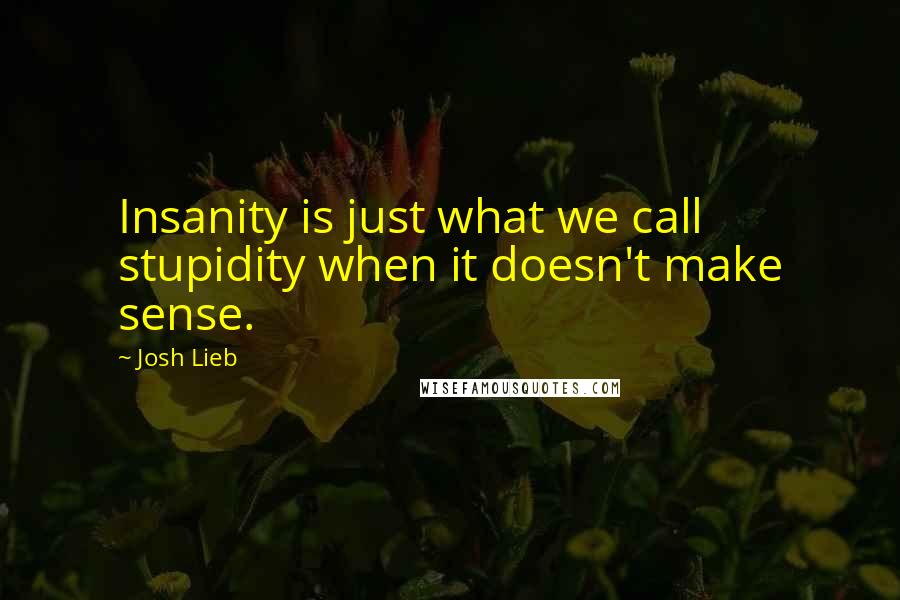 Josh Lieb Quotes: Insanity is just what we call stupidity when it doesn't make sense.