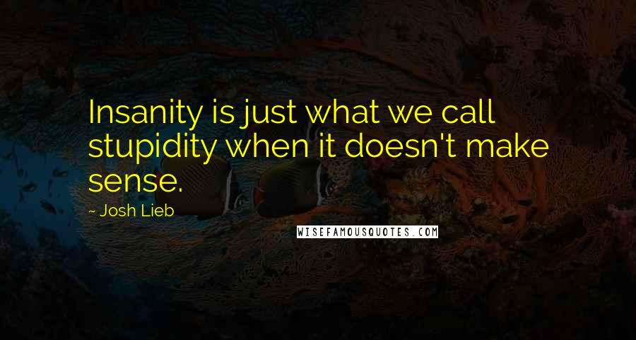 Josh Lieb Quotes: Insanity is just what we call stupidity when it doesn't make sense.