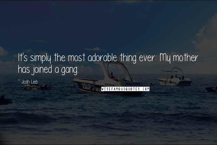 Josh Lieb Quotes: It's simply the most adorable thing ever: My mother has joined a gang.