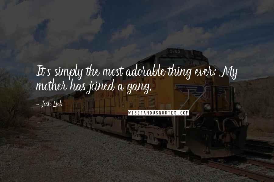 Josh Lieb Quotes: It's simply the most adorable thing ever: My mother has joined a gang.