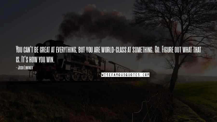 Josh Linkner Quotes: You can't be great at everything, but you are world-class at something. Go. Figure out what that is. It's how you win.