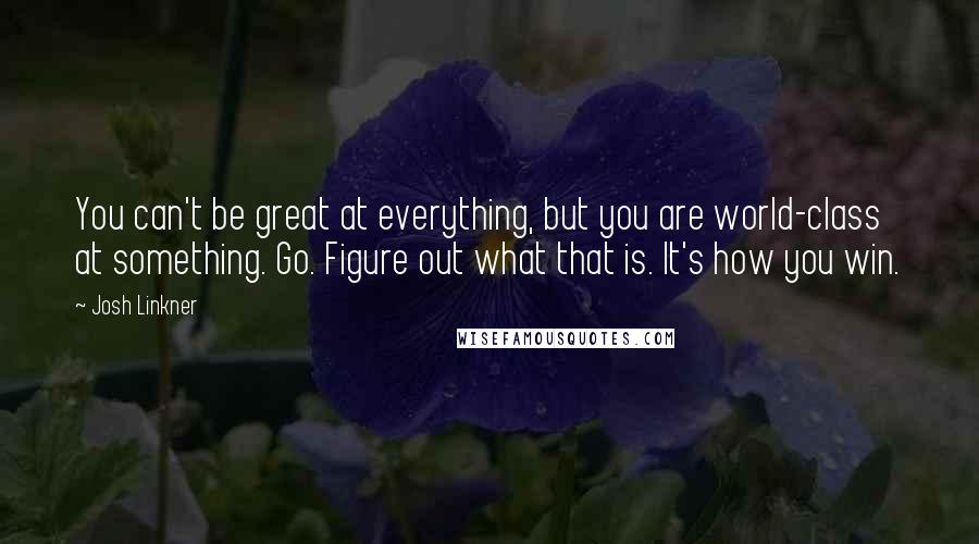 Josh Linkner Quotes: You can't be great at everything, but you are world-class at something. Go. Figure out what that is. It's how you win.