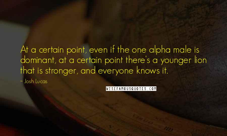 Josh Lucas Quotes: At a certain point, even if the one alpha male is dominant, at a certain point there's a younger lion that is stronger, and everyone knows it.