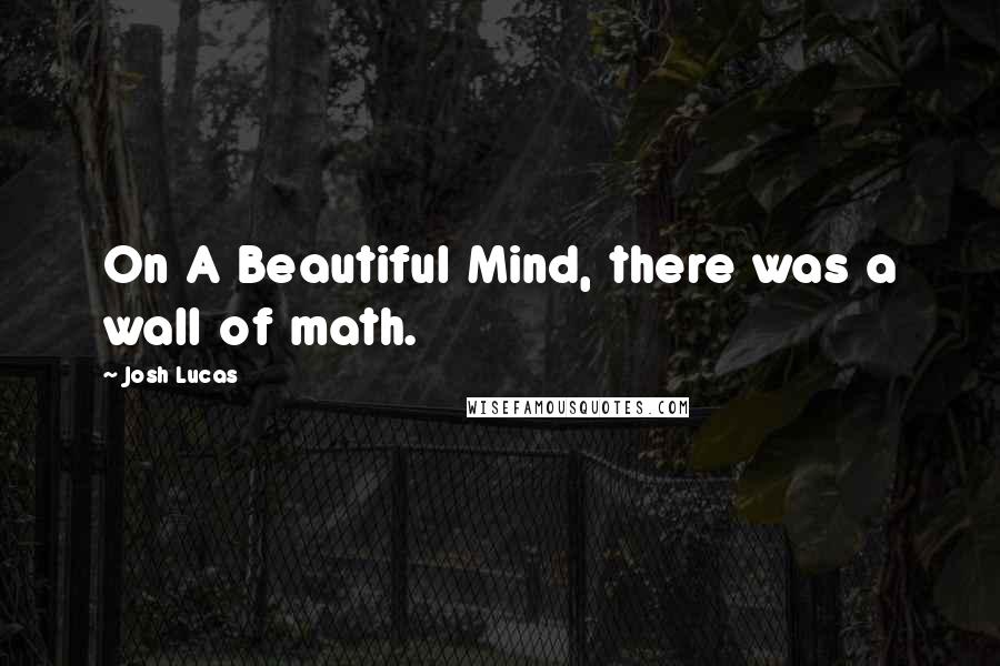 Josh Lucas Quotes: On A Beautiful Mind, there was a wall of math.