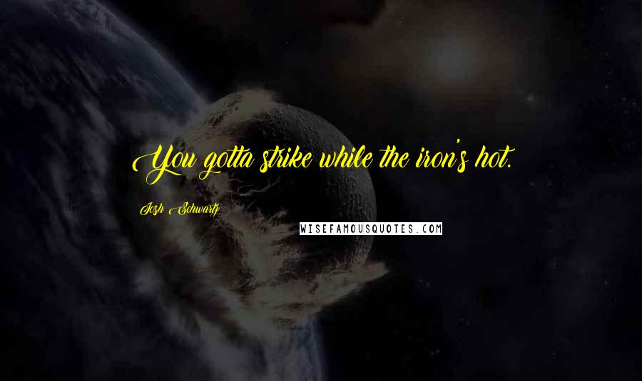 Josh Schwartz Quotes: You gotta strike while the iron's hot.