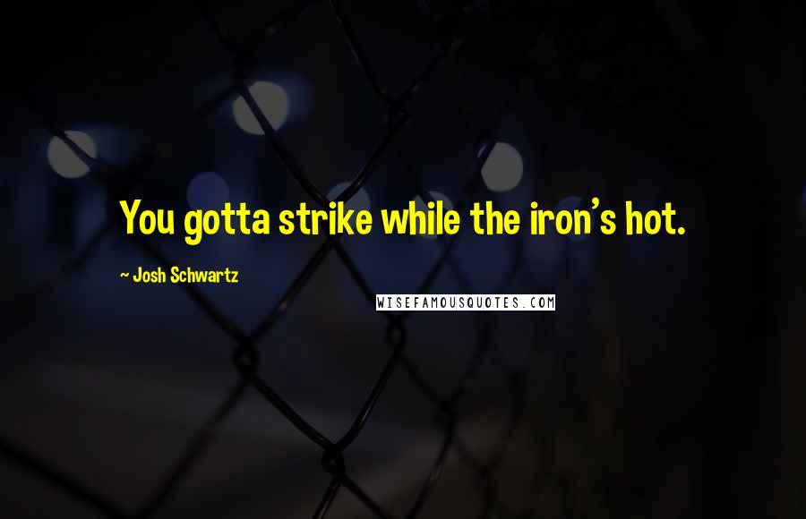 Josh Schwartz Quotes: You gotta strike while the iron's hot.