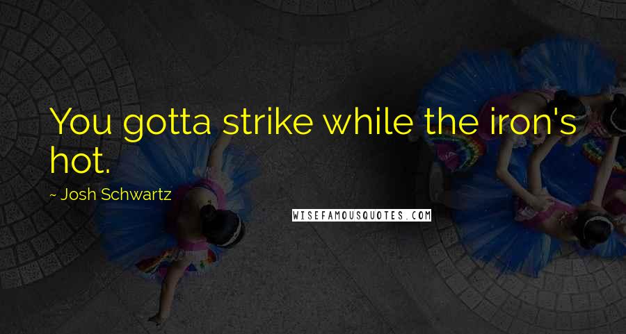 Josh Schwartz Quotes: You gotta strike while the iron's hot.