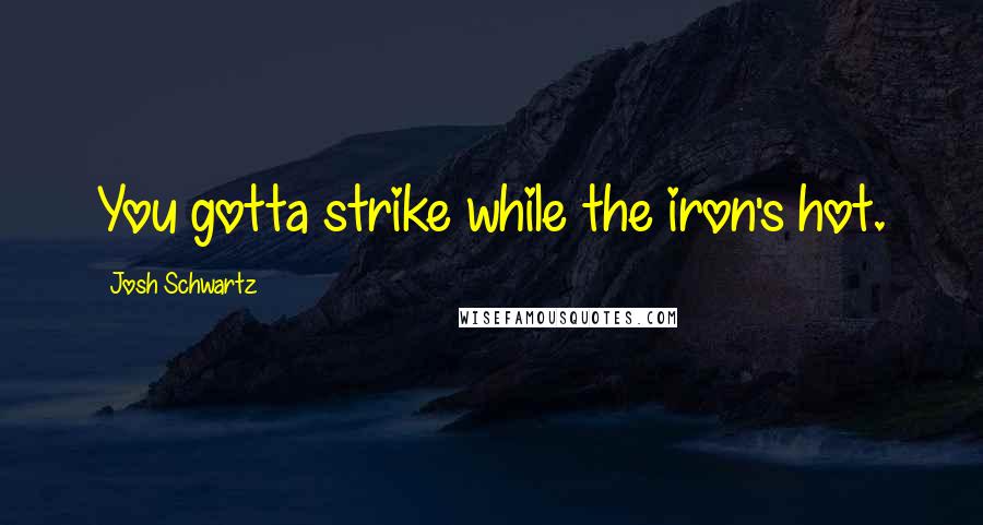 Josh Schwartz Quotes: You gotta strike while the iron's hot.