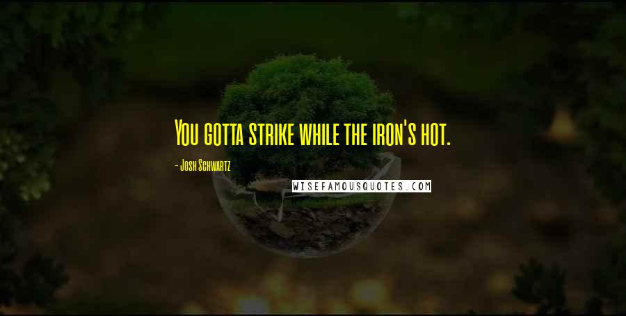 Josh Schwartz Quotes: You gotta strike while the iron's hot.