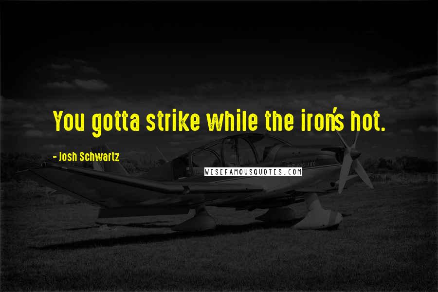 Josh Schwartz Quotes: You gotta strike while the iron's hot.