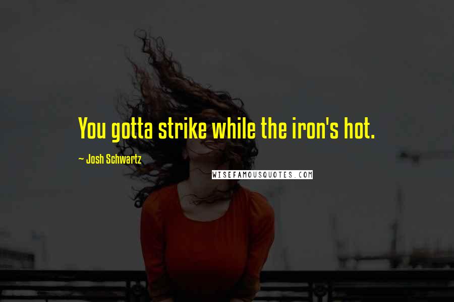Josh Schwartz Quotes: You gotta strike while the iron's hot.