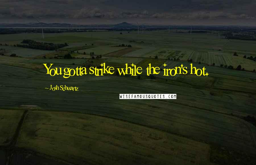Josh Schwartz Quotes: You gotta strike while the iron's hot.