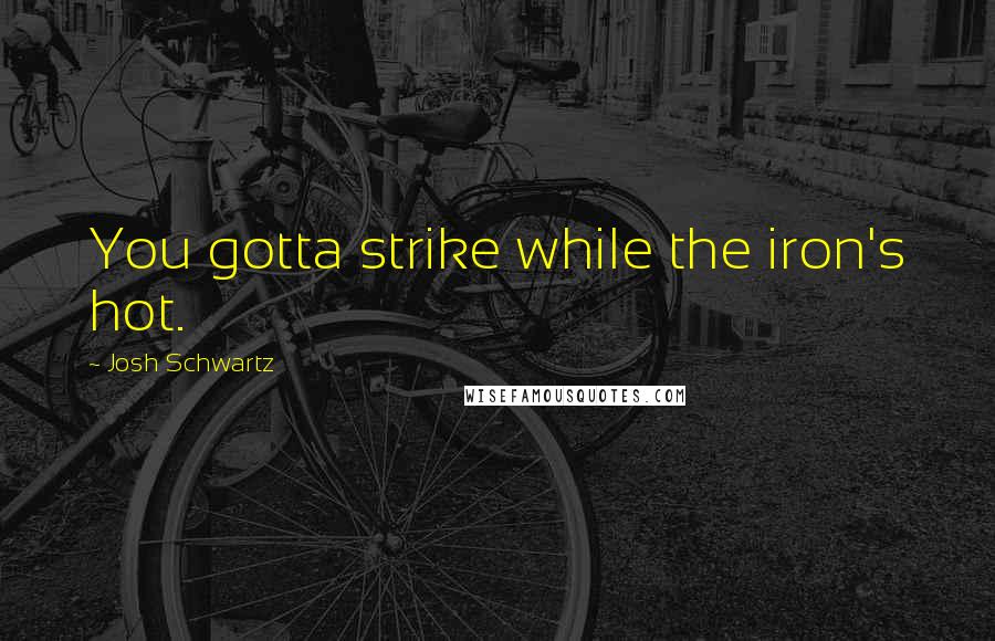 Josh Schwartz Quotes: You gotta strike while the iron's hot.