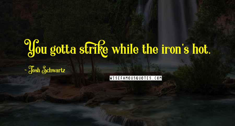 Josh Schwartz Quotes: You gotta strike while the iron's hot.