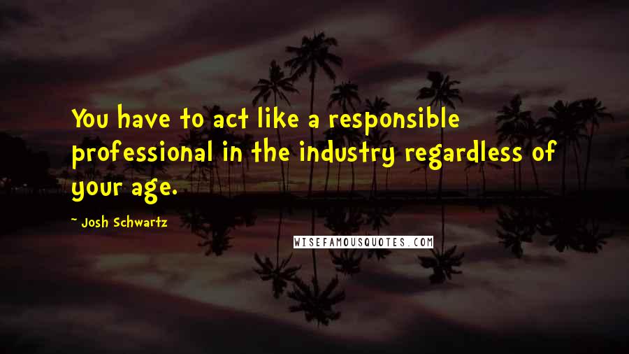 Josh Schwartz Quotes: You have to act like a responsible professional in the industry regardless of your age.