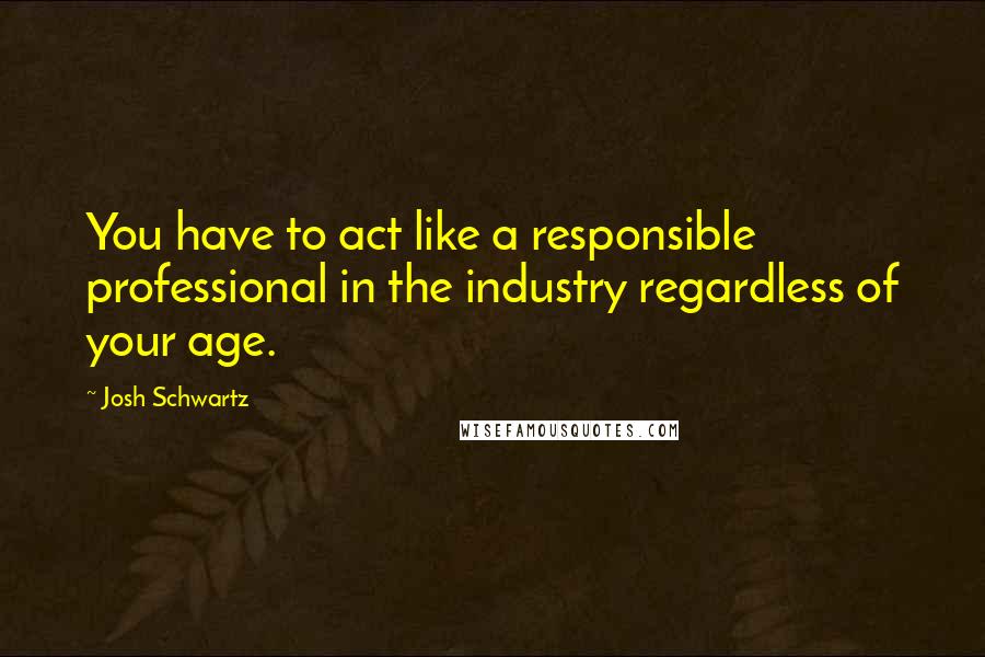 Josh Schwartz Quotes: You have to act like a responsible professional in the industry regardless of your age.