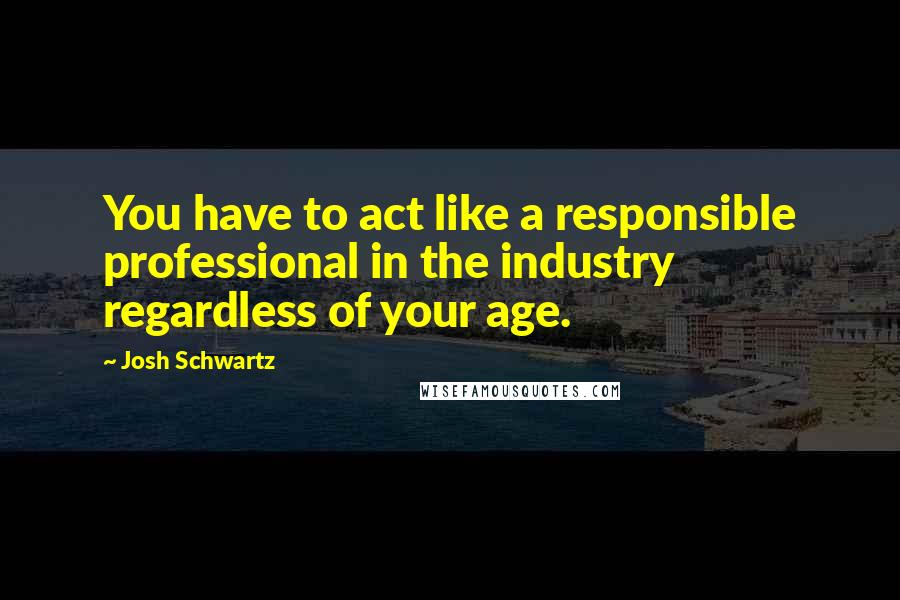 Josh Schwartz Quotes: You have to act like a responsible professional in the industry regardless of your age.