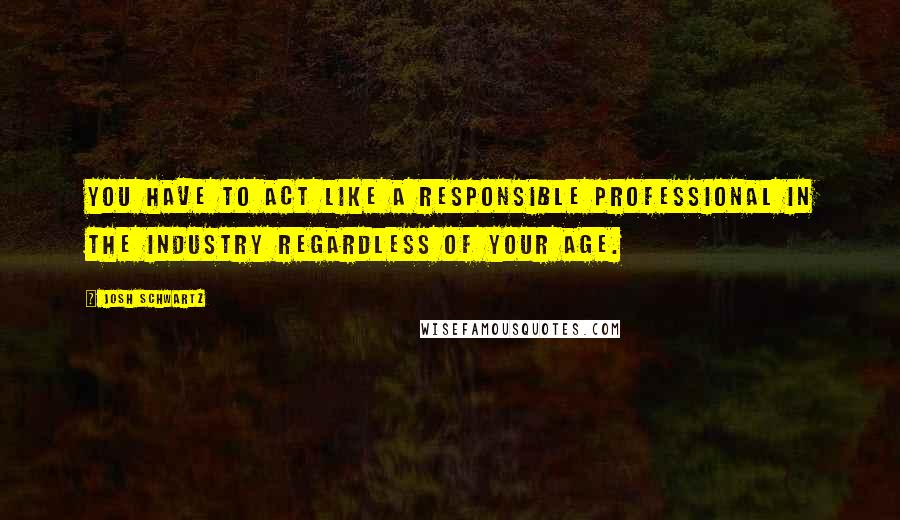 Josh Schwartz Quotes: You have to act like a responsible professional in the industry regardless of your age.