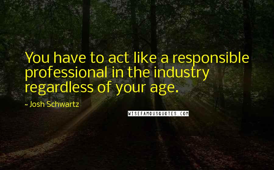 Josh Schwartz Quotes: You have to act like a responsible professional in the industry regardless of your age.