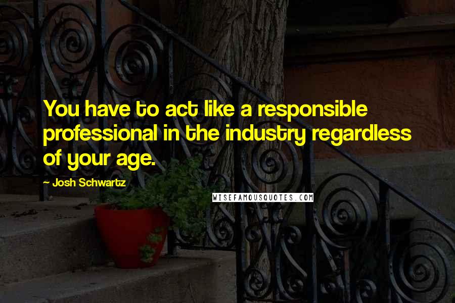 Josh Schwartz Quotes: You have to act like a responsible professional in the industry regardless of your age.