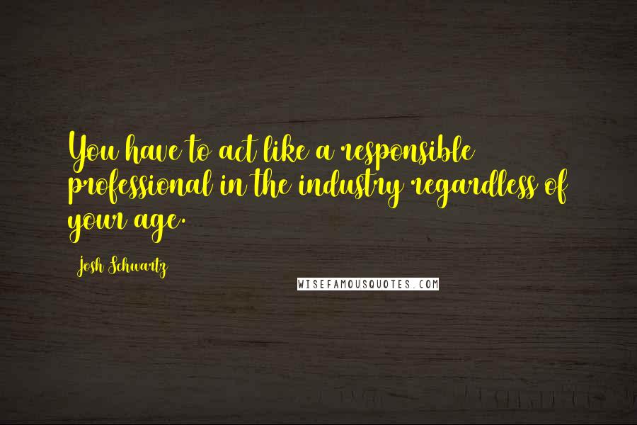 Josh Schwartz Quotes: You have to act like a responsible professional in the industry regardless of your age.