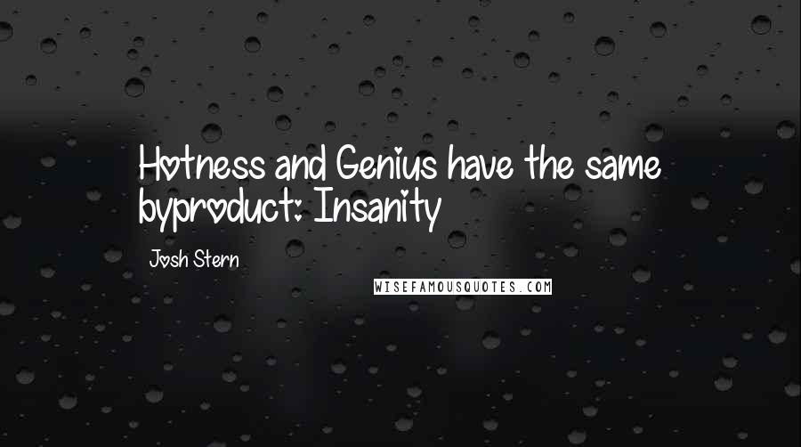 Josh Stern Quotes: Hotness and Genius have the same byproduct: Insanity