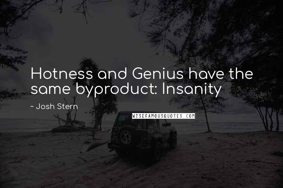 Josh Stern Quotes: Hotness and Genius have the same byproduct: Insanity