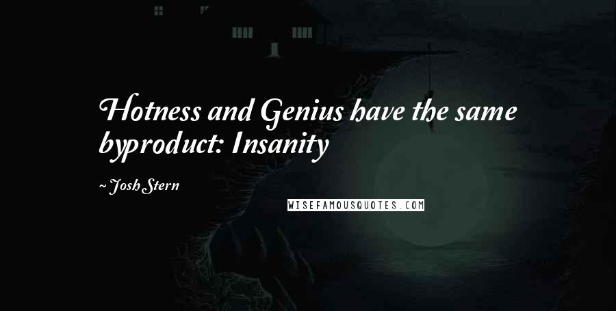 Josh Stern Quotes: Hotness and Genius have the same byproduct: Insanity