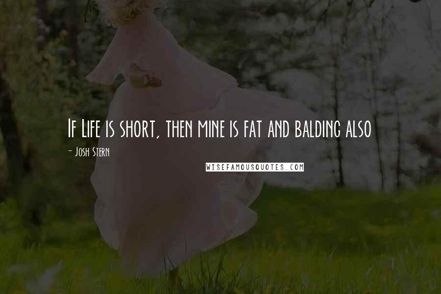 Josh Stern Quotes: If Life is short, then mine is fat and balding also