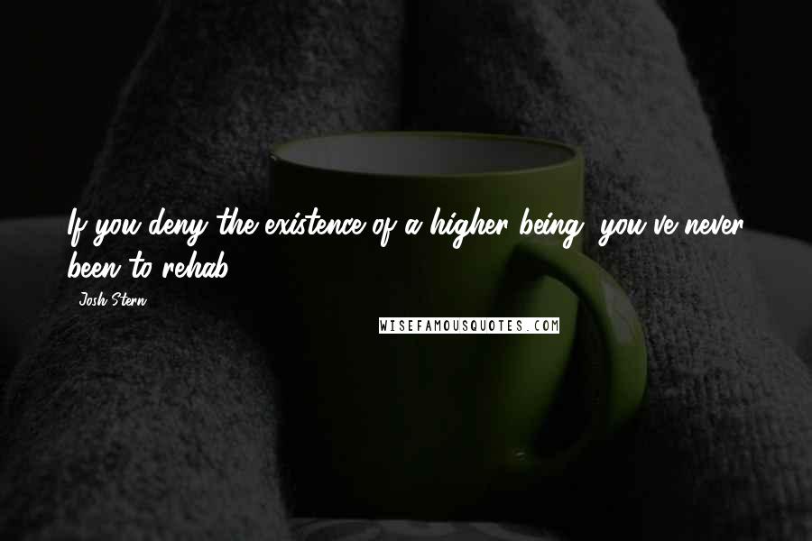 Josh Stern Quotes: If you deny the existence of a higher being, you've never been to rehab