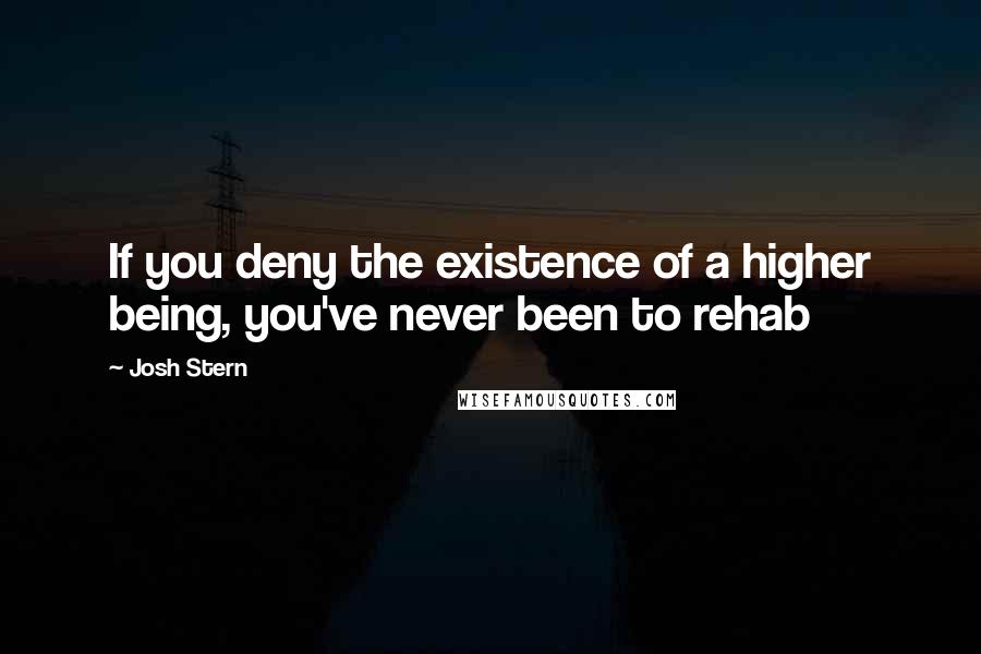Josh Stern Quotes: If you deny the existence of a higher being, you've never been to rehab