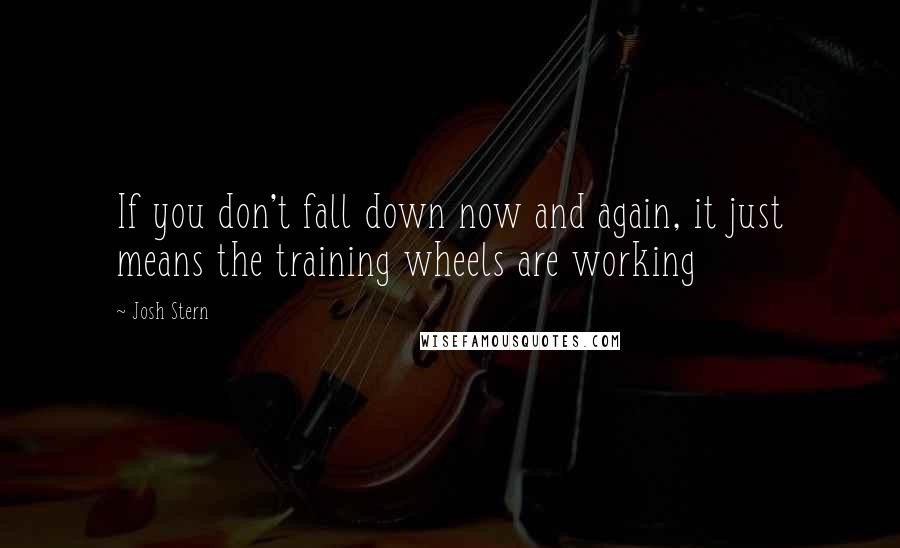 Josh Stern Quotes: If you don't fall down now and again, it just means the training wheels are working