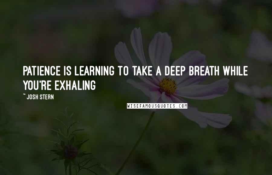 Josh Stern Quotes: Patience is learning to take a deep breath while you're exhaling