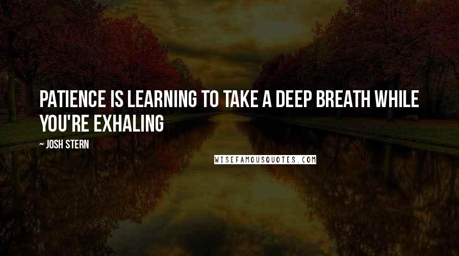 Josh Stern Quotes: Patience is learning to take a deep breath while you're exhaling