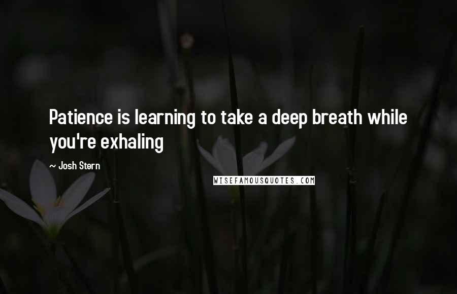Josh Stern Quotes: Patience is learning to take a deep breath while you're exhaling