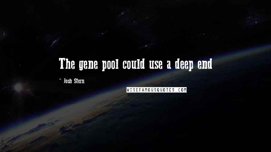 Josh Stern Quotes: The gene pool could use a deep end