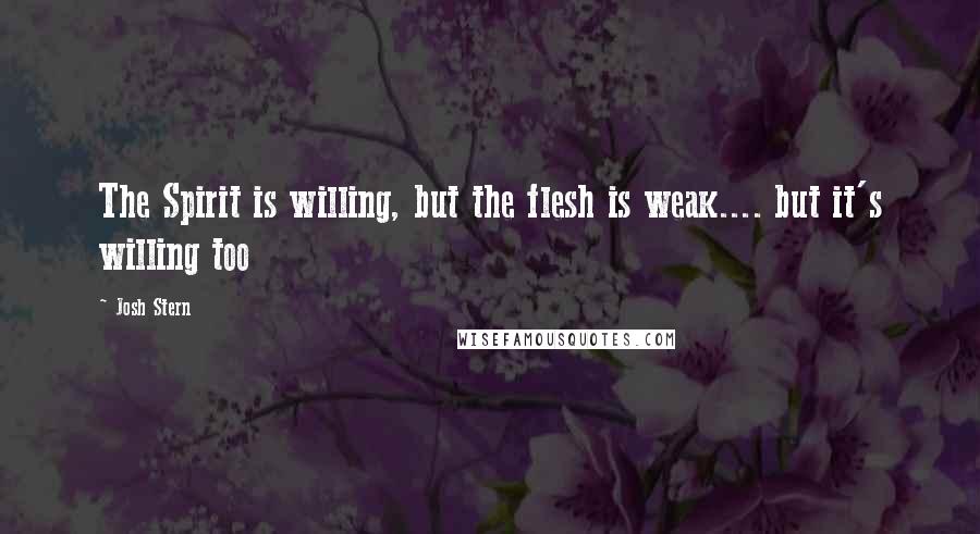 Josh Stern Quotes: The Spirit is willing, but the flesh is weak.... but it's willing too